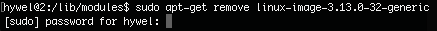 sudo apt get remove.png